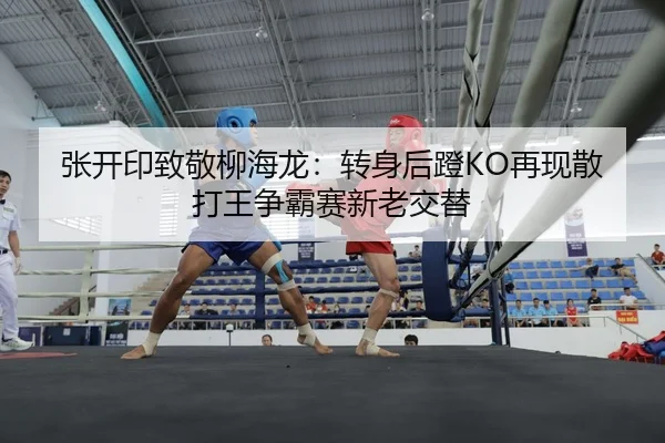 张开印致敬柳海龙：转身后蹬KO再现散打王争霸赛新老交替