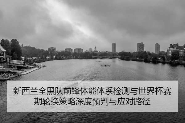 xin-xi-lan-quan-hei-dui-qian-feng-ti-neng-ti-xi-jian-ce-yu-shi-jie-bei-sai-qi-lun-huan-ce-lve-shen-du-yu-pan-yu-ying-2-433.jpg